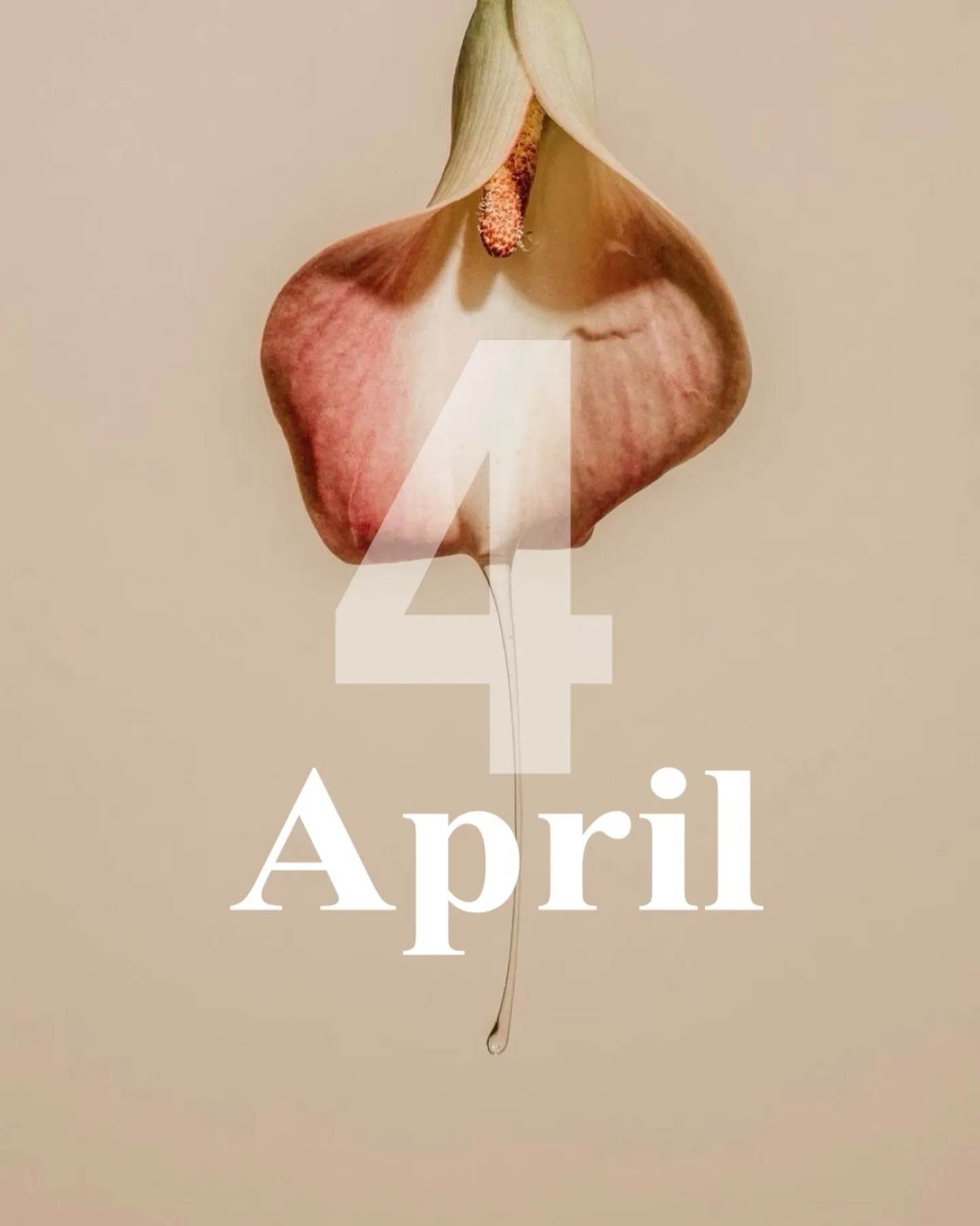 __ 𝑨 𝒑 𝒓 𝒊 𝒍 . ..