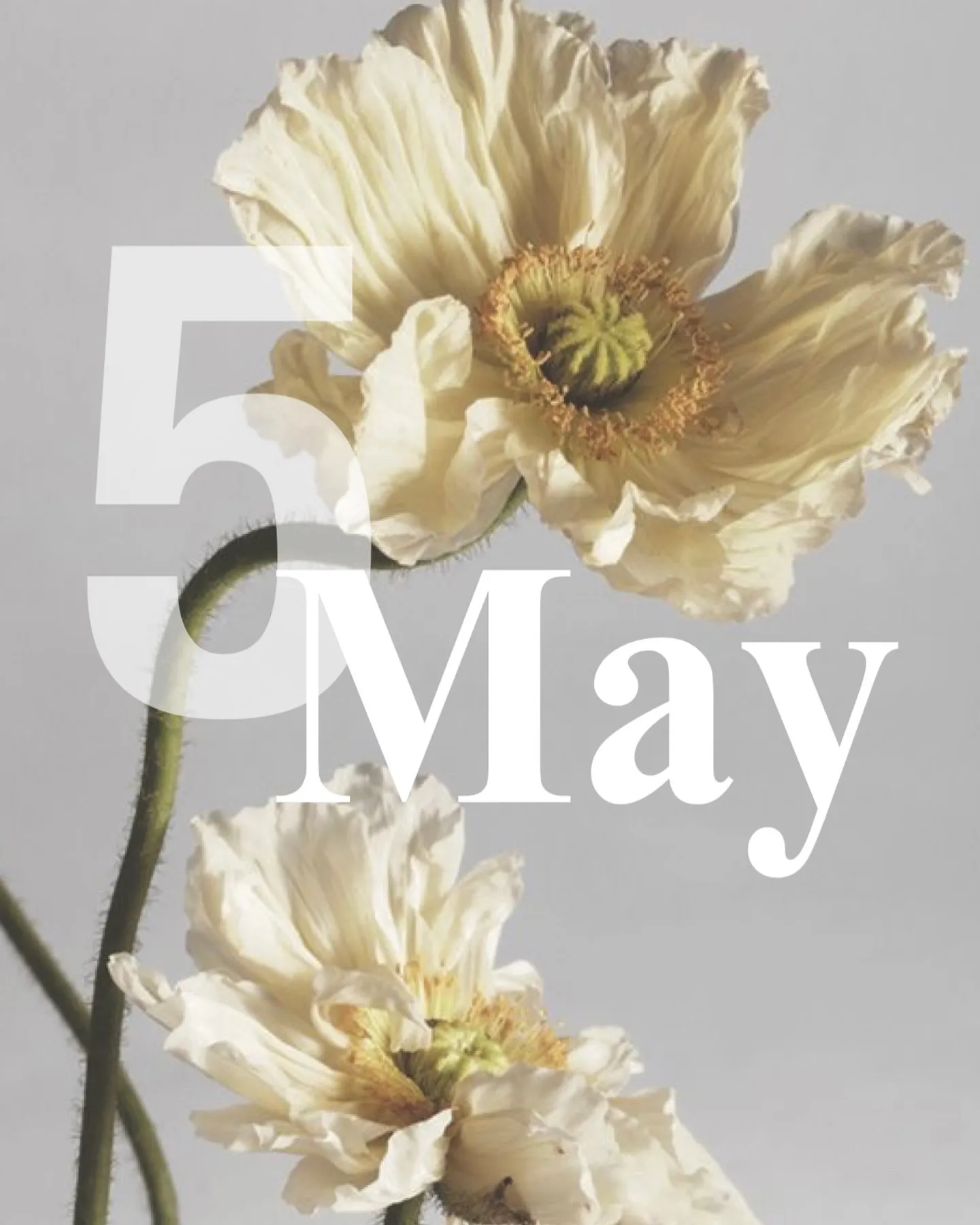 __ 𝑴 𝒂 𝒚 . ..