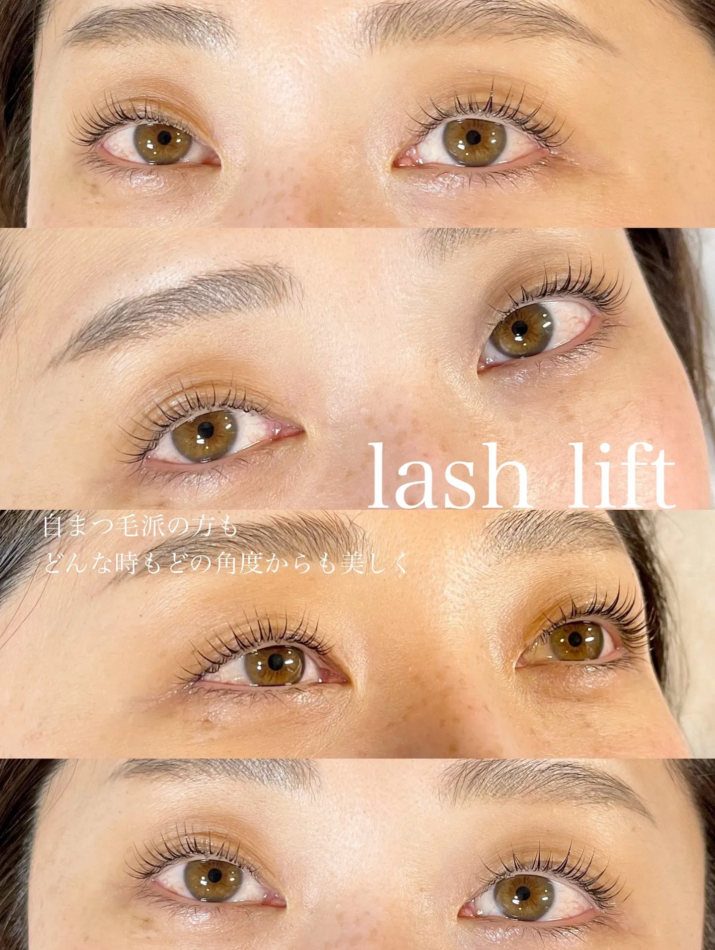 __ 𝐥𝐚𝐬𝐡 𝐥𝐢𝐟𝐭 ◂◂