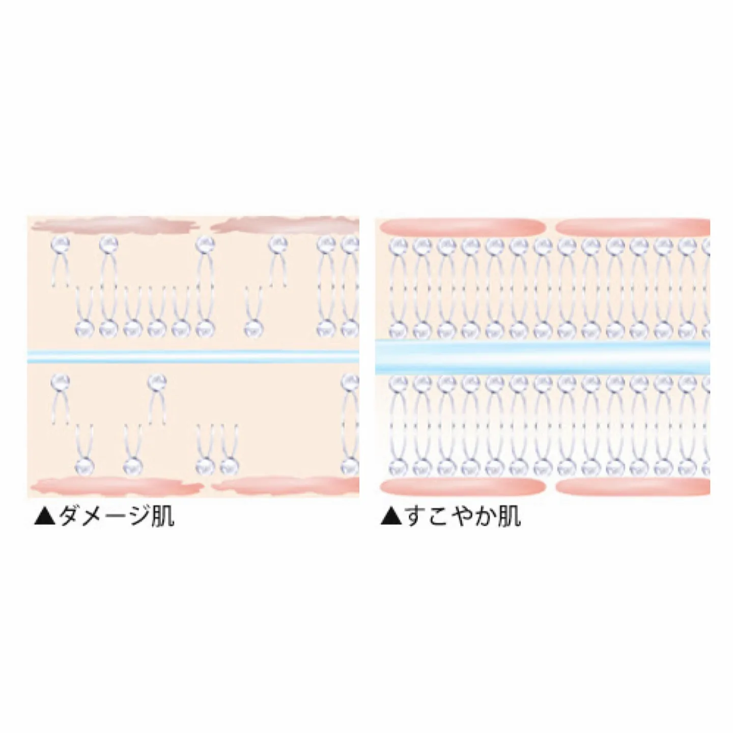 __  𝐟𝐚𝐜𝐢𝐚𝐥 𝐜𝐚𝐫𝐞💆✨　 . ..